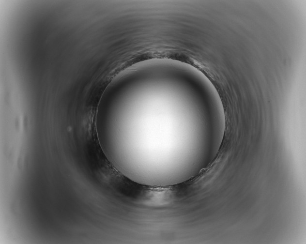 X0000099990240200805231458