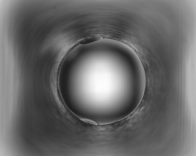 X0000099990241200805231458