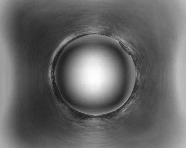 X0000099990244200805231458