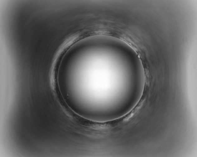 X0000099990245200805231458