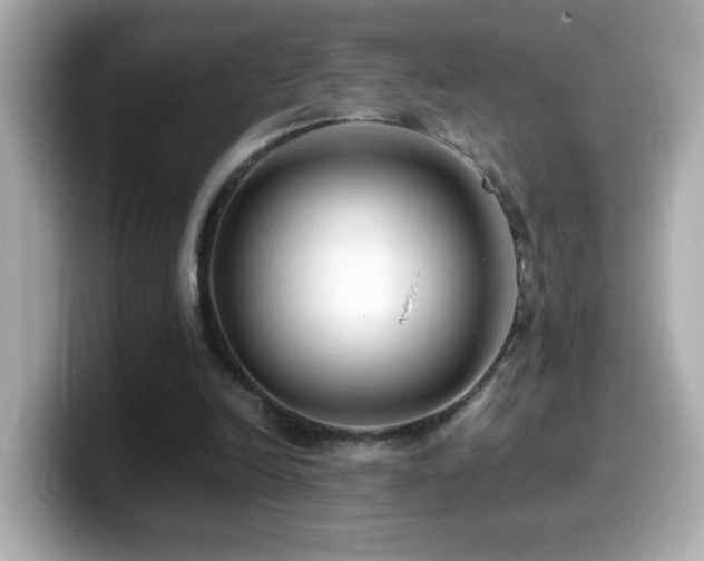 X0000099990246200805231458