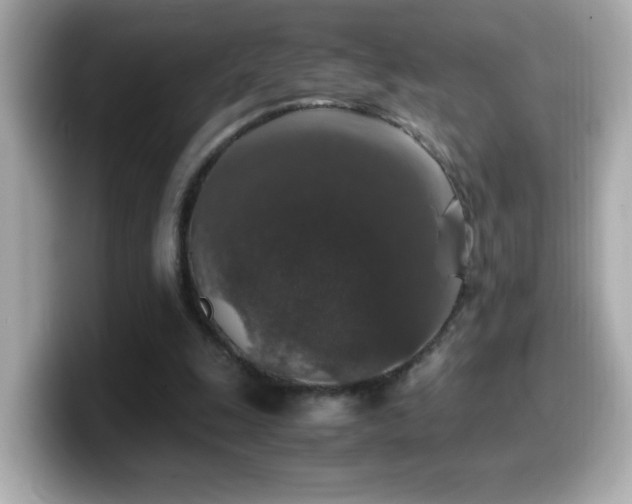 X0000099990247200805231458