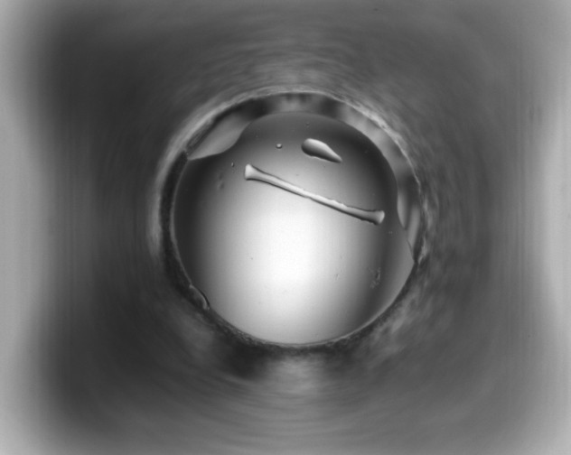 X0000099990248200805231458