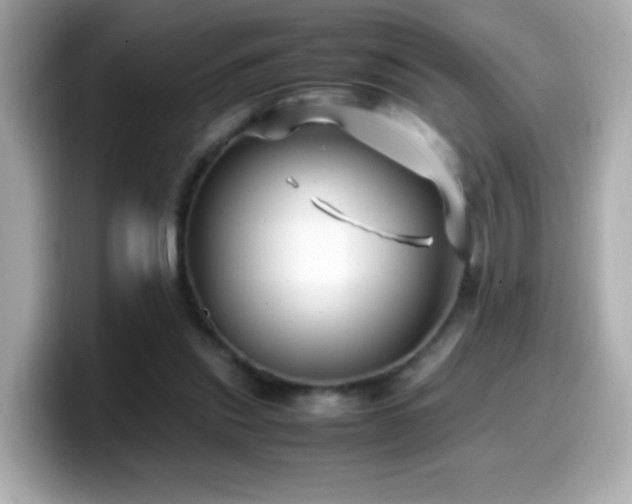 X0000099990253200805231458