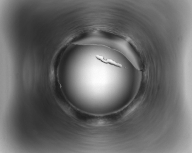 X0000099990254200805231458