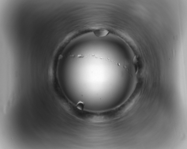 X0000099990256200805231458
