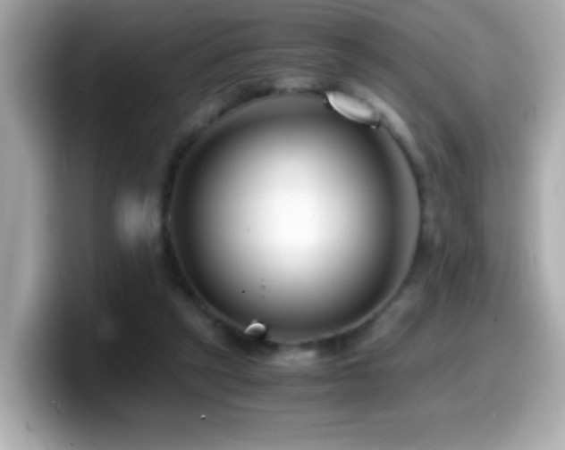 X0000099990257200805231458