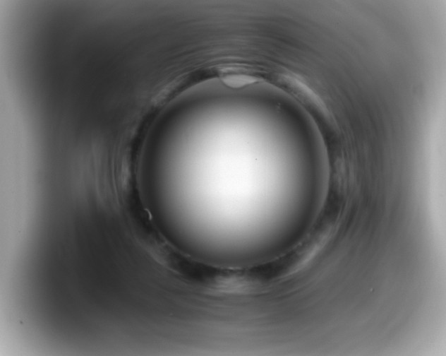 X0000099990259200805231458