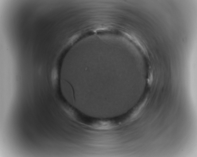 X0000099990260200805231458