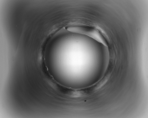 X0000099990261200805231458