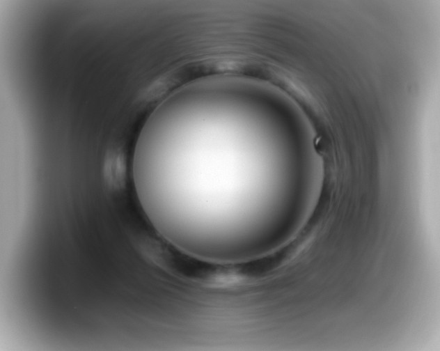 X0000099990262200805231458