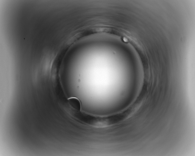 X0000099990263200805231458