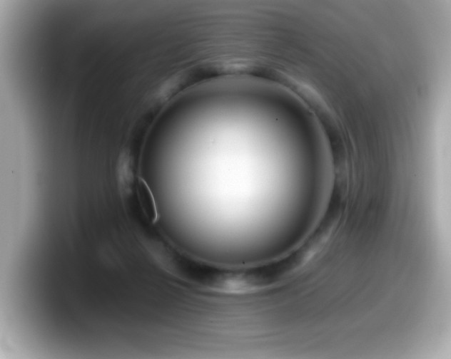 X0000099990264200805231458