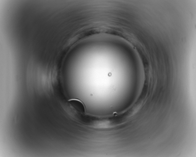 X0000099990266200805231458