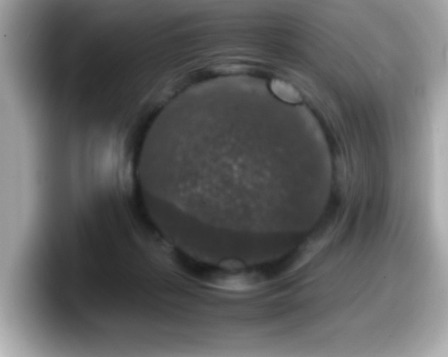 X0000099990267200805231458