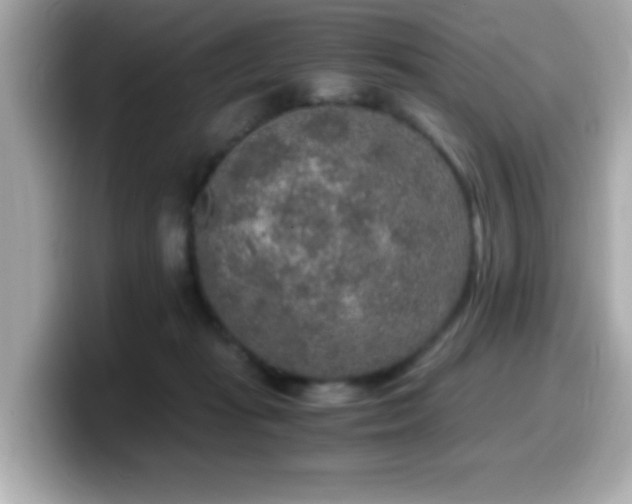 X0000099990269200805231458