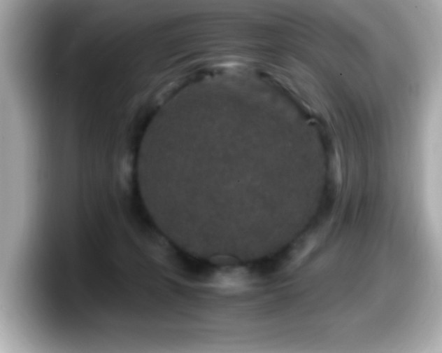 X0000099990271200805231458