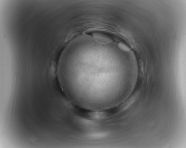 X0000099990273200805231458