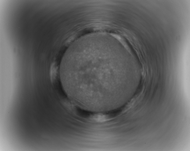 X0000099990276200805231458