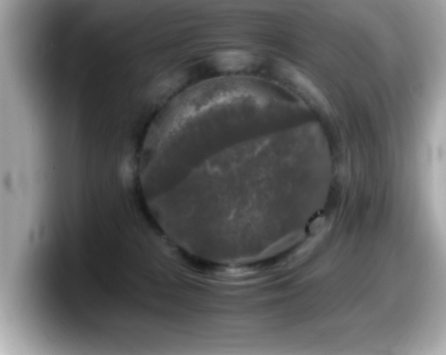 X0000099990277200805231458