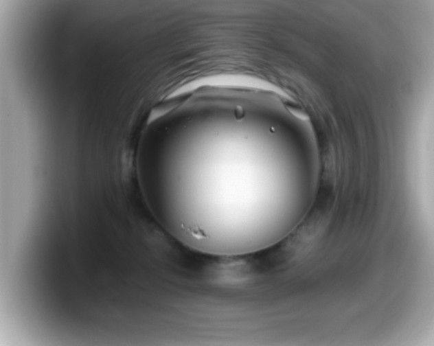 X0000099990278200805231458