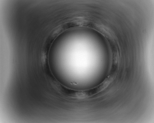 X0000099990279200805231458