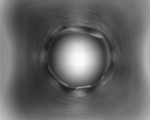 X0000099990280200805231458