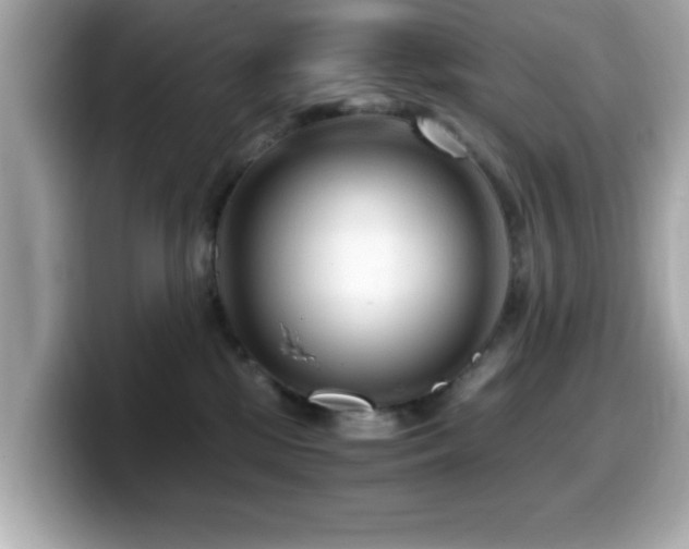 X0000099990281200805231458