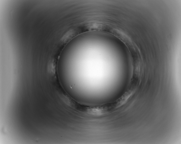 X0000099990282200805231458
