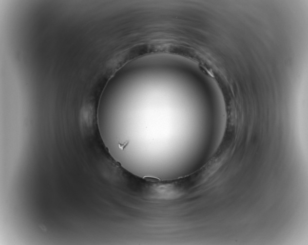 X0000099990283200805231458