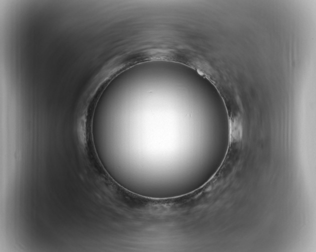 X0000099990291200805231458