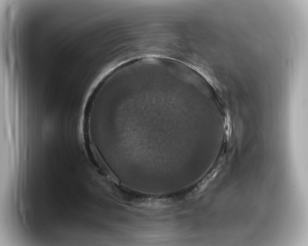 X0000099990292200805231458