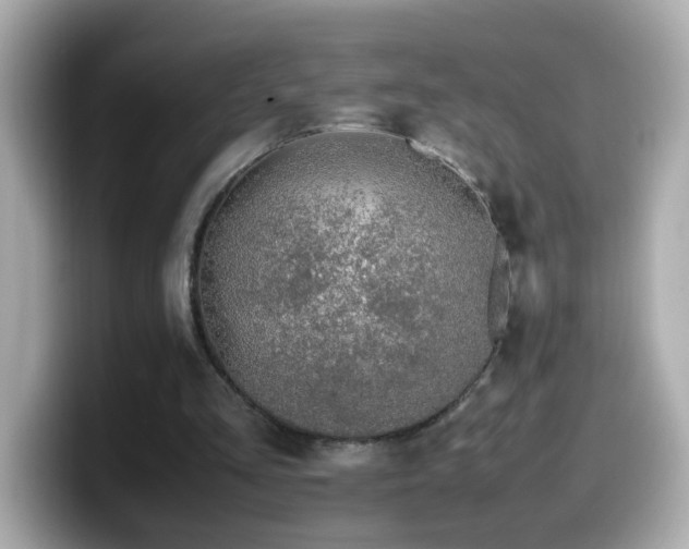 X0000099990293200805231458
