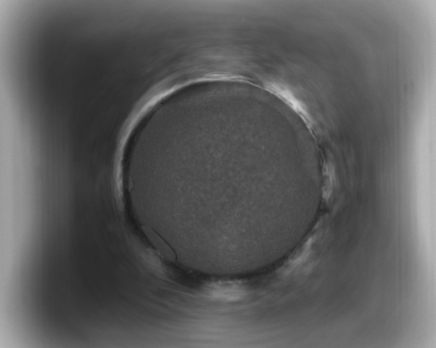 X0000099990296200805231458