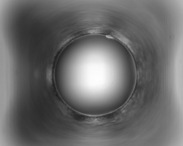 X0000099990297200805231458