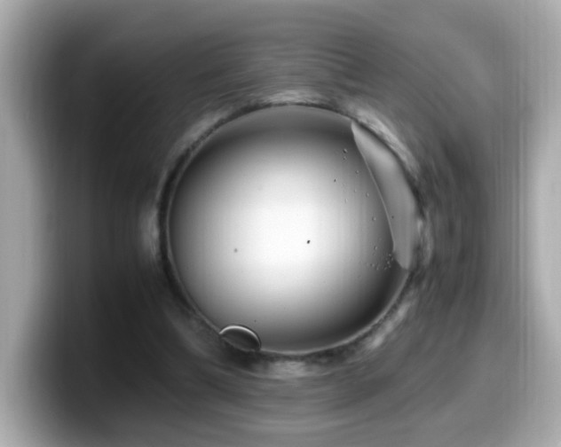 X0000099990298200805231458