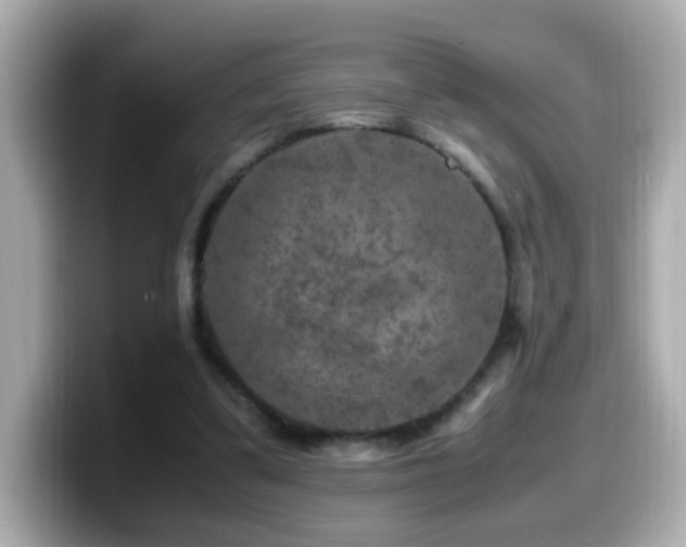 X0000099990299200805231458