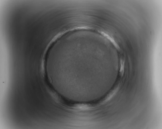 X0000099990300200805231458