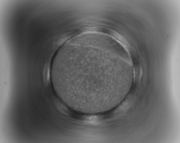 X0000099990301200805231458