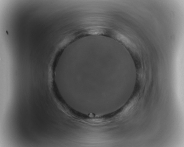 X0000099990303200805231458