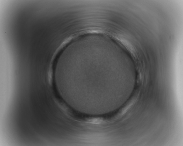 X0000099990304200805231458