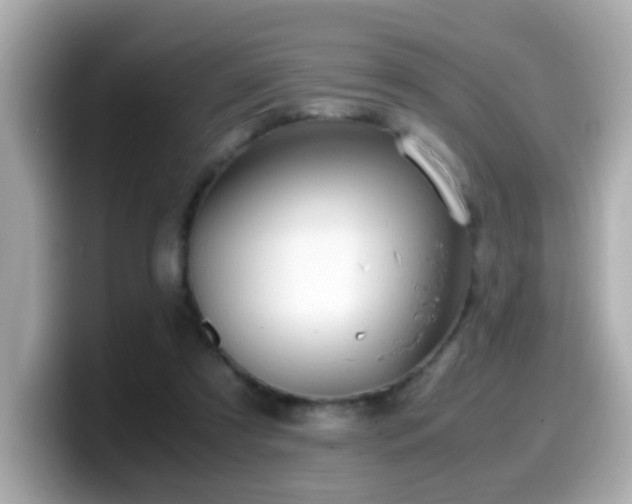 X0000099990305200805231458