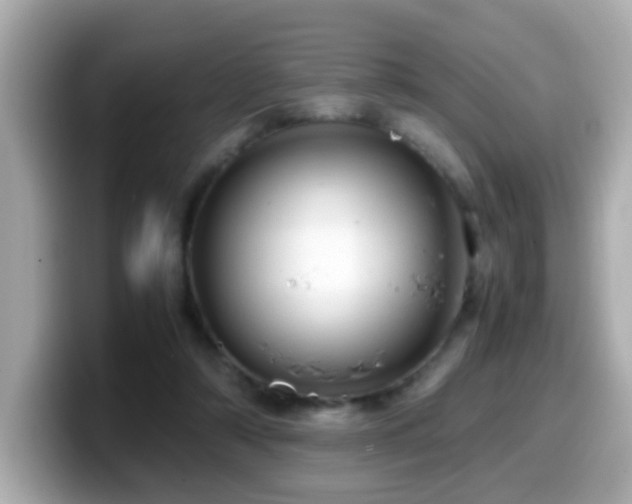 X0000099990306200805231458