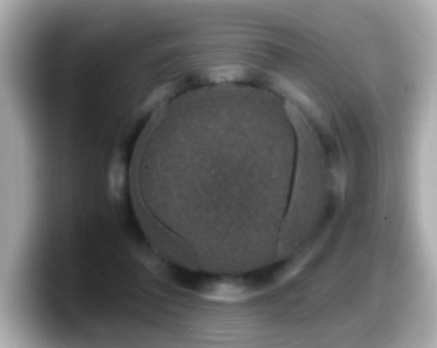 X0000099990308200805231458