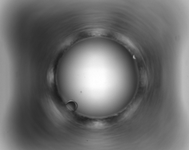 X0000099990310200805231458