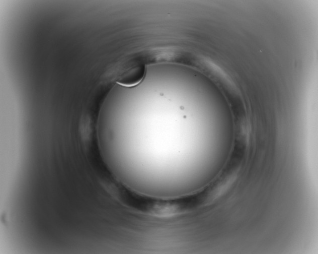 X0000099990311200805231458