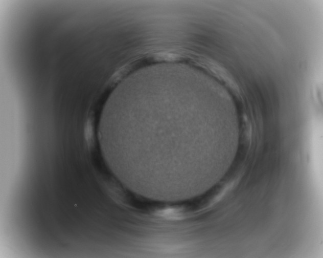 X0000099990312200805231458