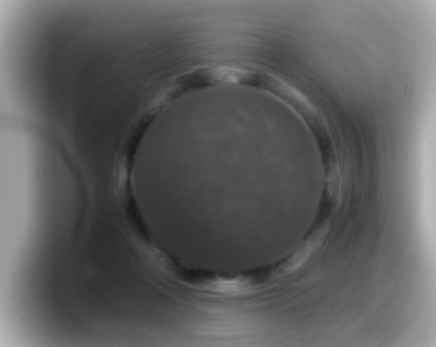 X0000099990314200805231458