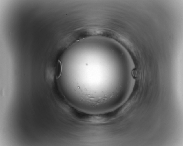 X0000099990315200805231458