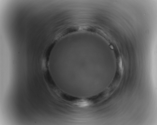 X0000099990316200805231458